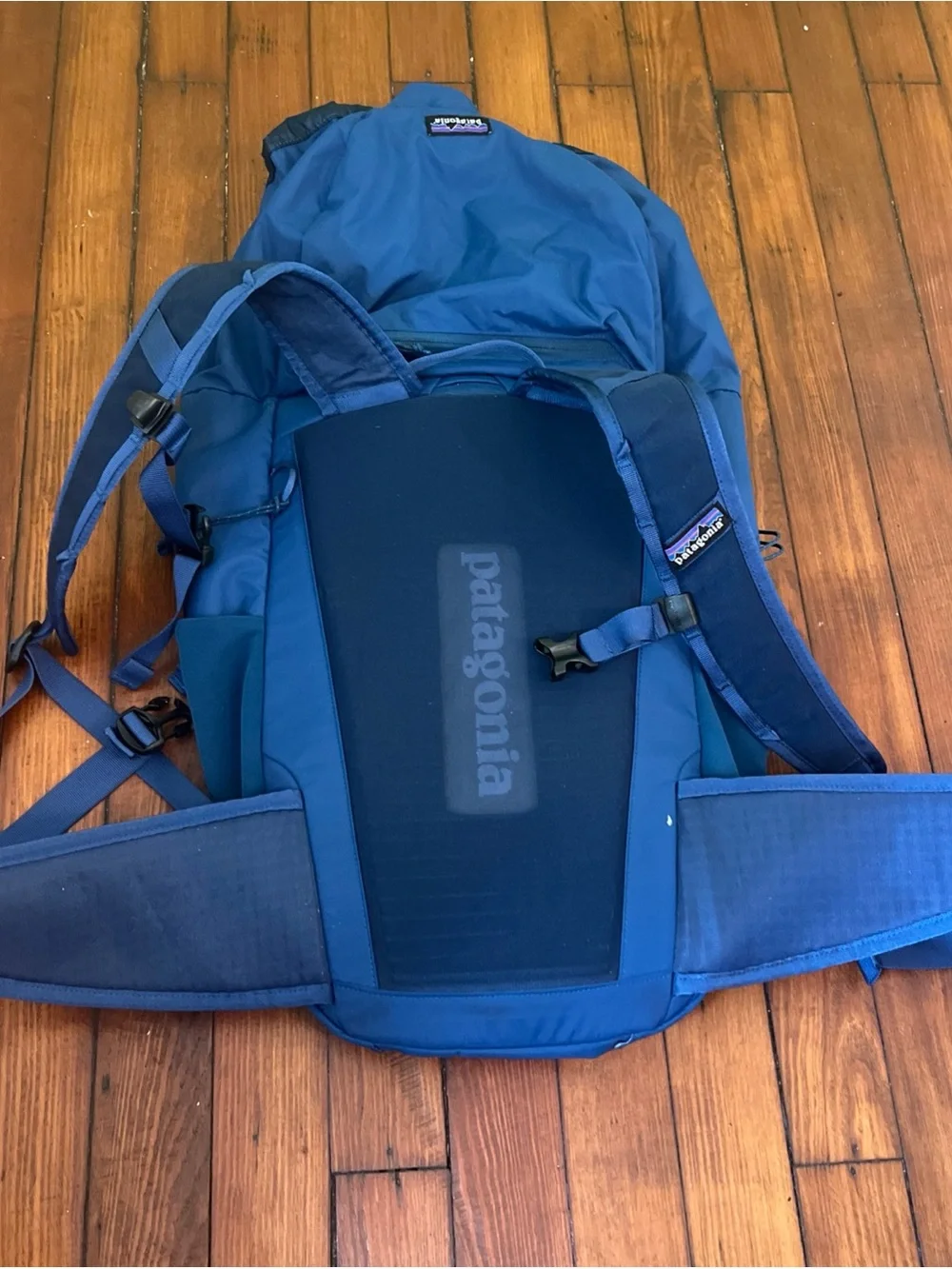 Patagonia Blue Men's Hiking Backpack